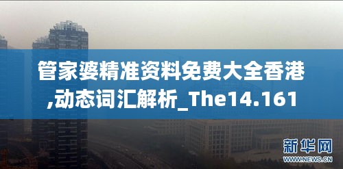 管家婆精准资料免费大全香港,动态词汇解析_The14.161