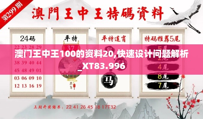 澳门王中王100的资料20,快速设计问题解析_XT83.996