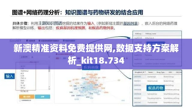 新澳精准资料免费提供网,数据支持方案解析_kit18.734