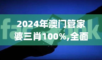 2024年澳门管家婆三肖100%,全面解析数据执行_4DM7.249