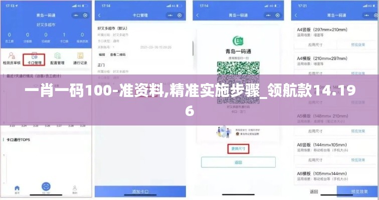 一肖一码100-准资料,精准实施步骤_领航款14.196