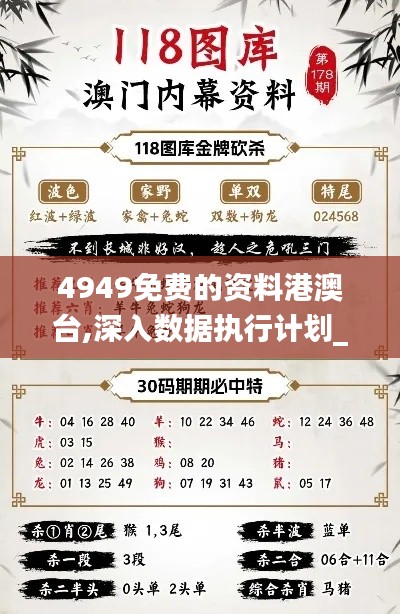 4949免费的资料港澳台,深入数据执行计划_超值版53.772