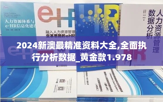 2024新澳最精准资料大全,全面执行分析数据_黄金款1.978