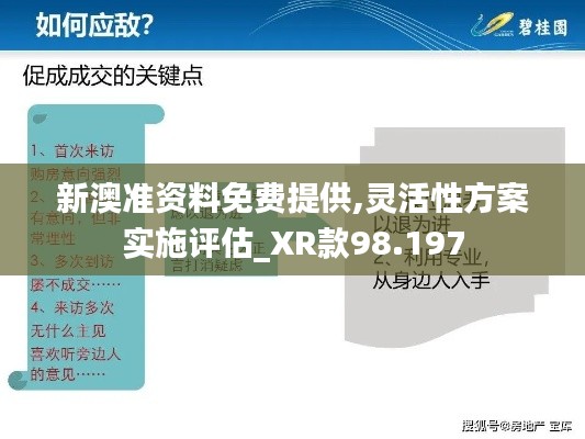 新澳准资料免费提供,灵活性方案实施评估_XR款98.197