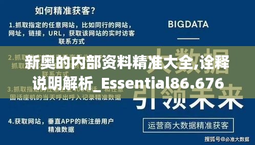 新奥的内部资料精准大全,诠释说明解析_Essential86.676