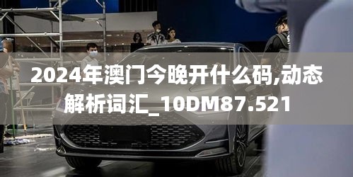 2024年澳门今晚开什么码,动态解析词汇_10DM87.521