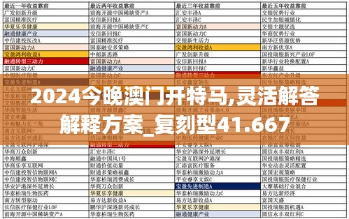 2024今晚澳门开特马,灵活解答解释方案_复刻型41.667