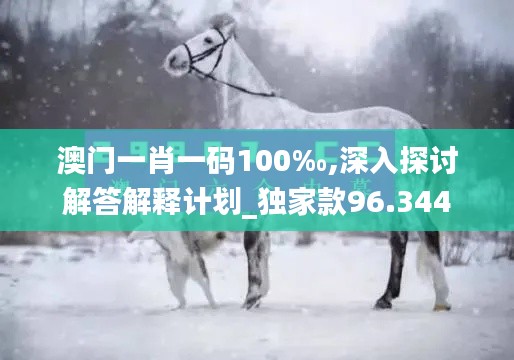 澳门一肖一码100‰,深入探讨解答解释计划_独家款96.344