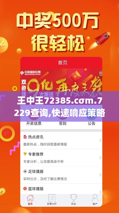 王中王72385.cσm.7229查询,快速响应策略解析_探索版69.504