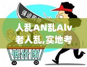 人乱AN乱Alv老人乱,实地考察数据应用_kit92.80