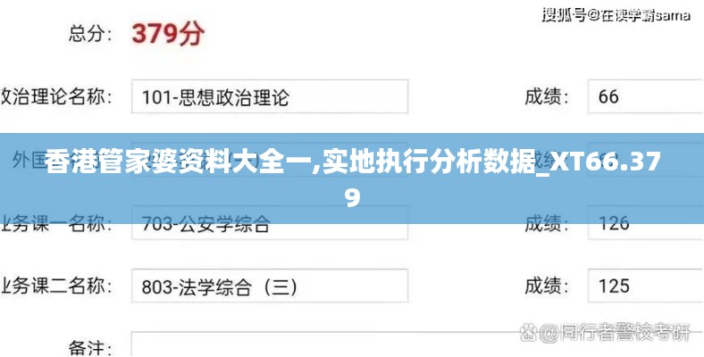 香港管家婆资料大全一,实地执行分析数据_XT66.379