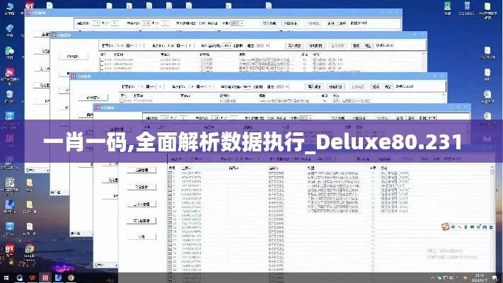 一肖一码,全面解析数据执行_Deluxe80.231