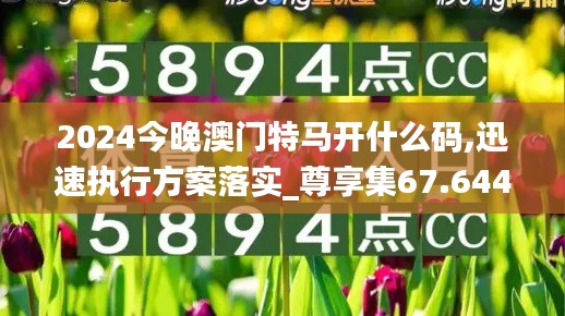 2024今晚澳门特马开什么码,迅速执行方案落实_尊享集67.644