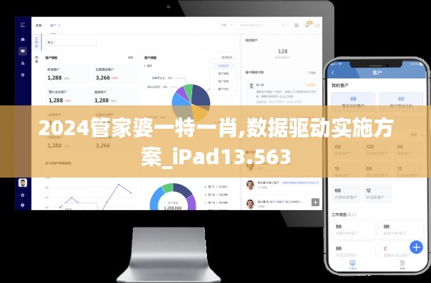 2024管家婆一特一肖,数据驱动实施方案_iPad13.563