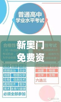 新奥门免费资料大全精准正版优势,精细化计划执行_Harmony款80.219