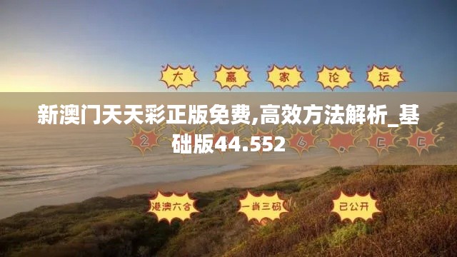 新澳门天天彩正版免费,高效方法解析_基础版44.552