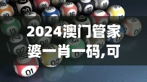 2024澳门管家婆一肖一码,可靠数据解释定义_储蓄版38.441