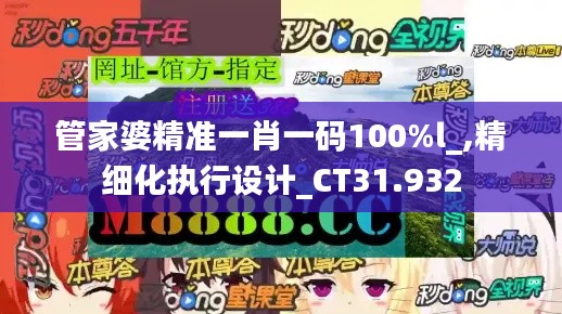 管家婆精准一肖一码100%l_,精细化执行设计_CT31.932