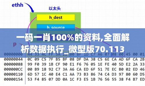 一码一肖100%的资料,全面解析数据执行_微型版70.113