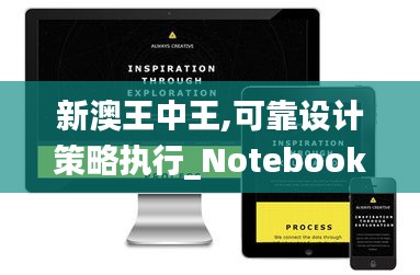 新澳王中王,可靠设计策略执行_Notebook41.224