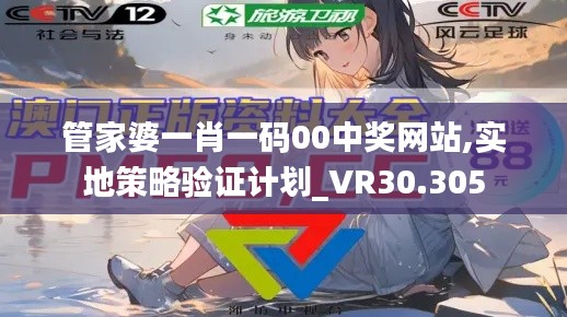 管家婆一肖一码00中奖网站,实地策略验证计划_VR30.305