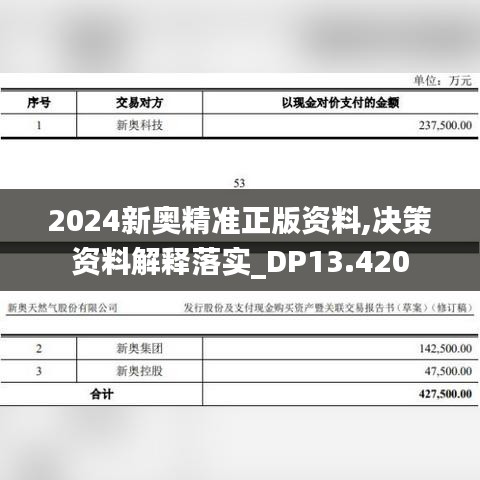 2024新奥精准正版资料,决策资料解释落实_DP13.420