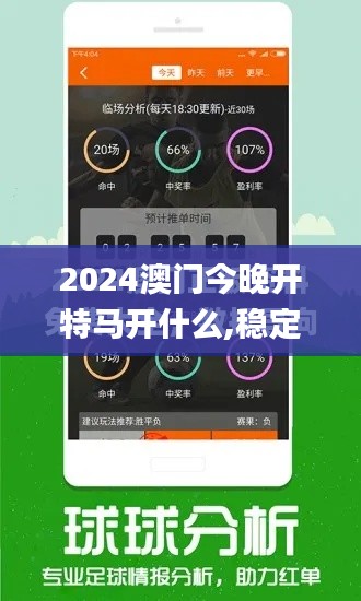 2024澳门今晚开特马开什么,稳定性策略设计_经典版172.312