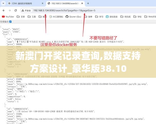 新澳门开奖记录查询,数据支持方案设计_豪华版38.10