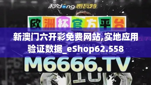 新澳门六开彩免费网站,实地应用验证数据_eShop62.558