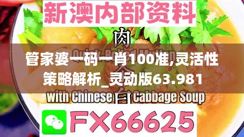 管家婆一码一肖100准,灵活性策略解析_灵动版63.981