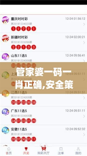 管家婆一码一肖正确,安全策略评估_进阶版6.662