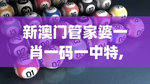 新澳门管家婆一肖一码一中特,前沿评估解析_积极型87.473