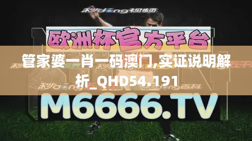 管家婆一肖一码澳门,实证说明解析_QHD54.191