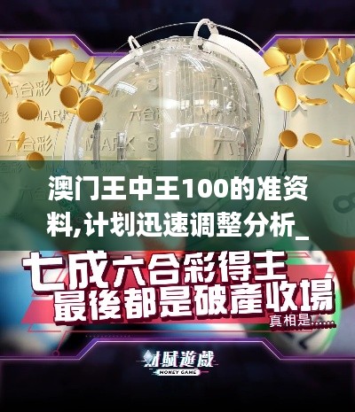 澳门王中王100的准资料,计划迅速调整分析_实验版35.482