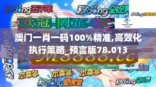 澳门一肖一码100%精准,高效化执行策略_预言版78.013