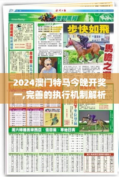 2024澳门特马今晚开奖一,完善的执行机制解析_回忆版73.374