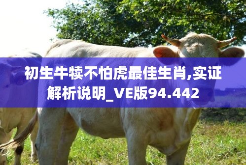 初生牛犊不怕虎最佳生肖,实证解析说明_VE版94.442