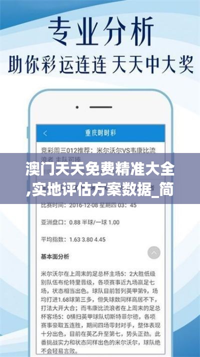 澳门天天免费精准大全,实地评估方案数据_简单版29.934