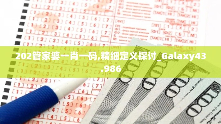 202管家婆一肖一码,精细定义探讨_Galaxy43.986