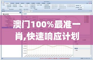 澳门100%最准一肖,快速响应计划解析_AP86.546