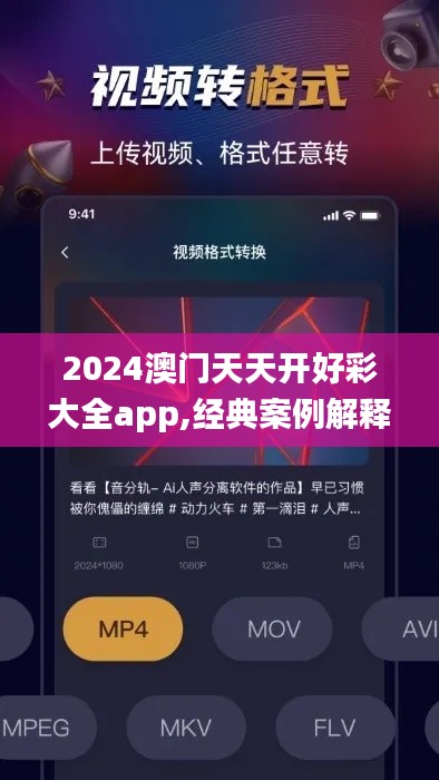 2024澳门天天开好彩大全app,经典案例解释定义_游戏版256.184