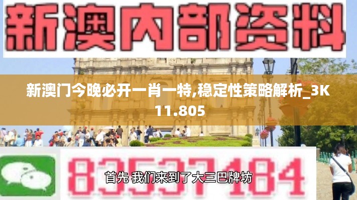 新澳门今晚必开一肖一特,稳定性策略解析_3K11.805