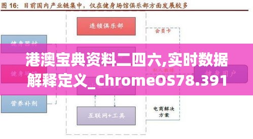 港澳宝典资料二四六,实时数据解释定义_ChromeOS78.391