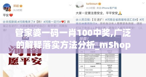 管家婆一码一肖100中奖,广泛的解释落实方法分析_mShop28.299