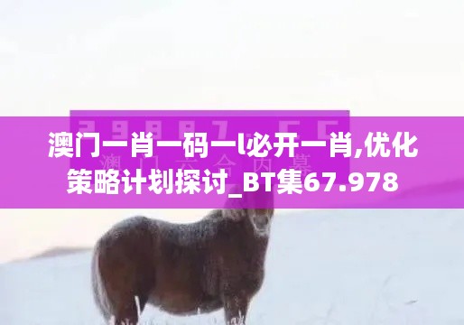 澳门一肖一码一l必开一肖,优化策略计划探讨_BT集67.978