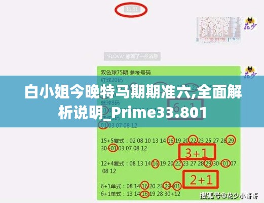 白小姐今晚特马期期准六,全面解析说明_Prime33.801