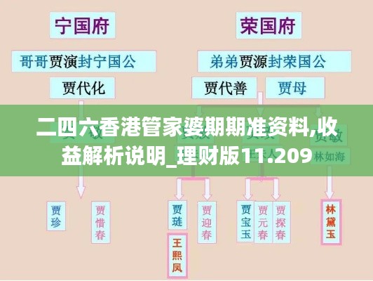 二四六香港管家婆期期准资料,收益解析说明_理财版11.209