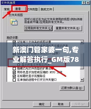 新澳门管家婆一句,专业解答执行_GM版78.546