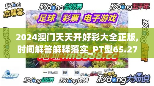 2024澳门天天开好彩大全正版,时间解答解释落实_PT型65.273