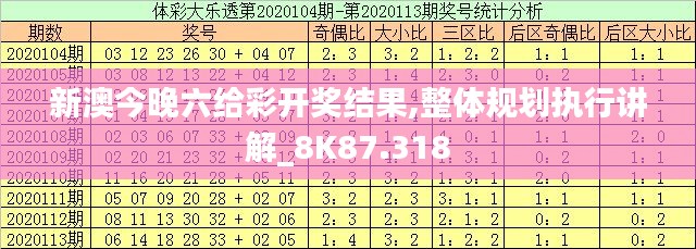 新澳今晚六给彩开奖结果,整体规划执行讲解_8K87.318